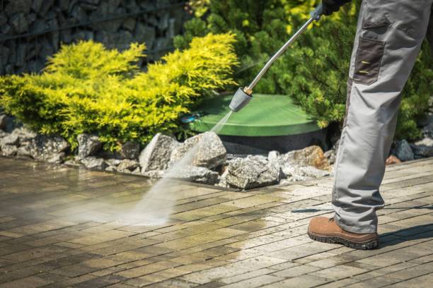 Best Roof Washing  in Greenwood, MO